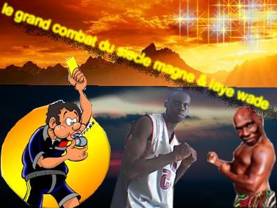 le combat